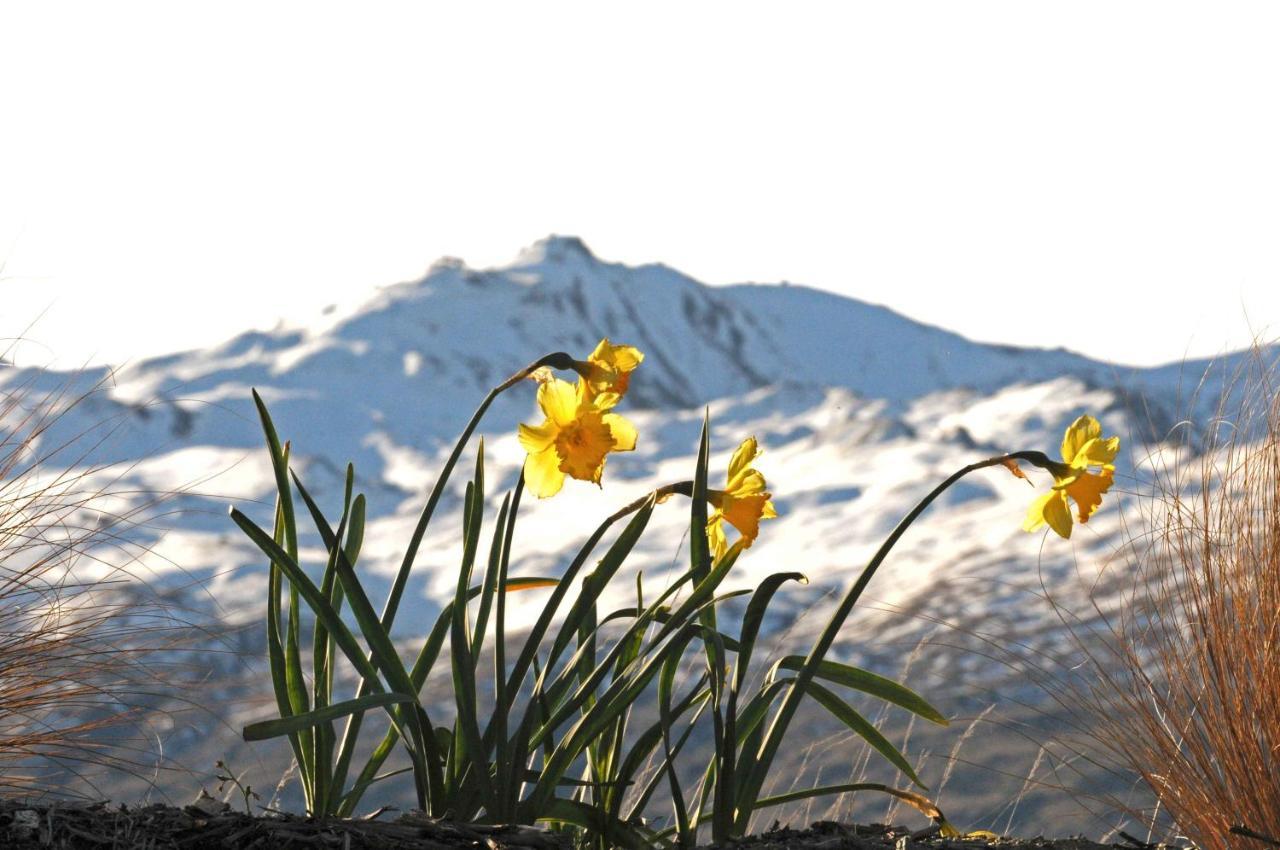 Hawkridge Alpine Suite Queenstown Exterior foto